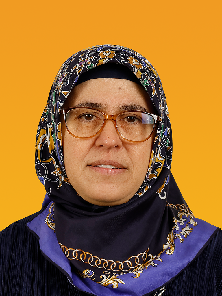 unzile-meydanci